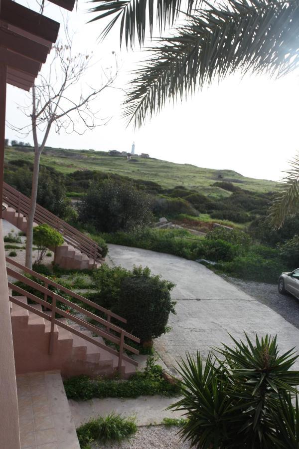 Ariadne Apt 103 -300M From Lighthouse Beach Paphos Buitenkant foto